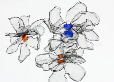 ネイチャーアート化したペットボトル [pet flowers]