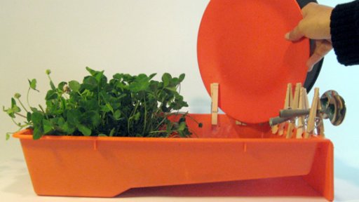 キッチン畑。[ Green Herb Garden ]