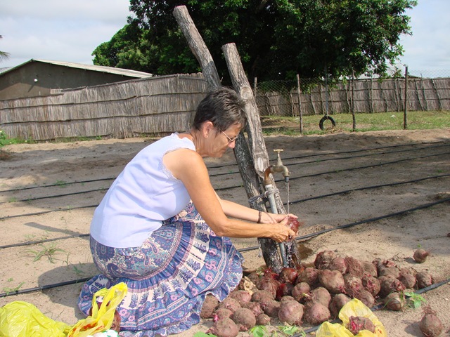 [Beetroots 2010 008[4].jpg]