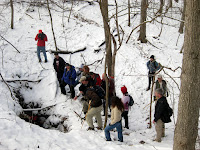 IMG_0238.JPG Photo