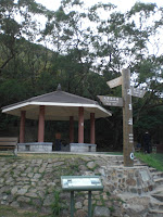 GC262Y3 Photo