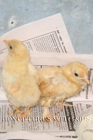[IMG_2863copy2.jpg]