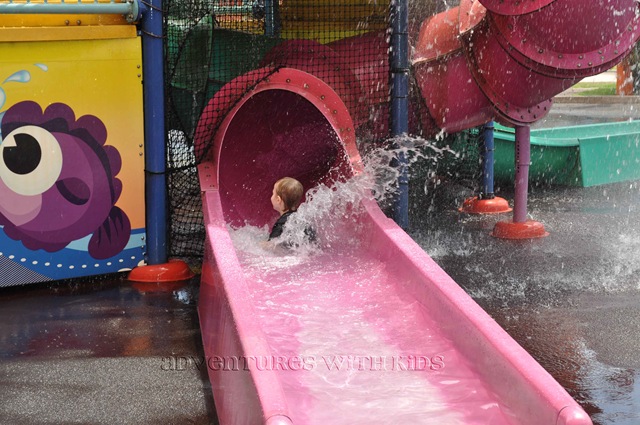 [DSC_01763.jpg]