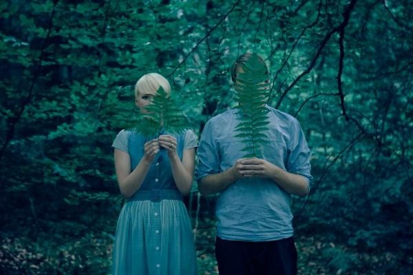[TheForestTheTrees3.jpg]