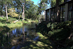IMG_9625.jpg