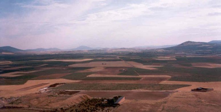 LA_MANCHA_CONSUEGRA LA_MANCHA_CONSUEGRA