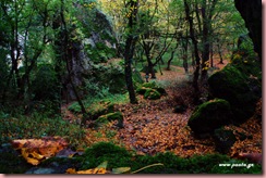 gallery_540_34_1287994391 gallery_540_34_1287994391