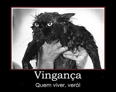 [vinganca[3].jpg]