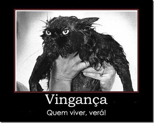 vinganca