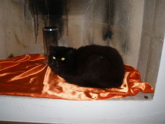 Minha gatinha Tetê descansando na lareira....