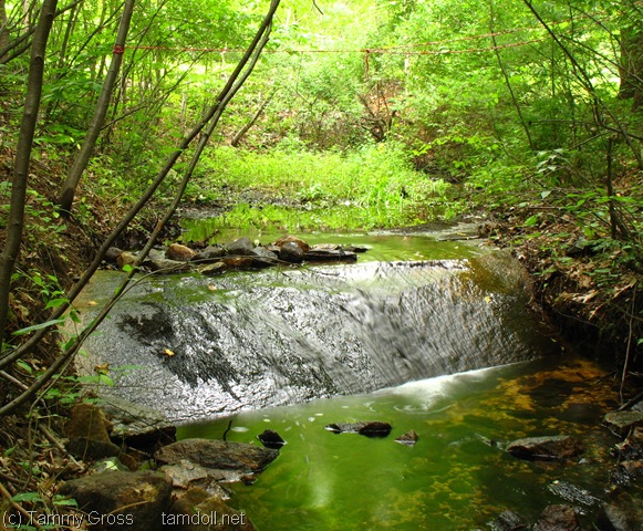 [IMG_0005-1[10].jpg]