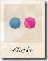 flickr flickr