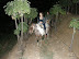 cabalgatasnocturasvialactea3.jpg