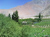 fundo-huanta-vina-falernia-4.jpg