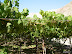 DSCN0764.JPG