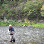 Anthony's Steelhead