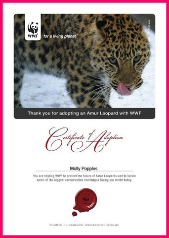 [Molly Amur Leopard[6].jpg]