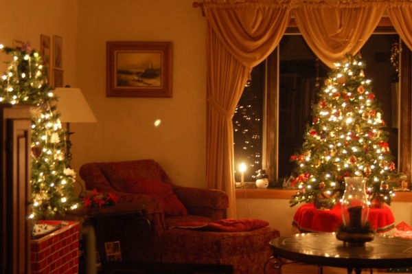 [DSC_0181[2].jpg]