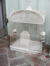 Vintage Birdcage