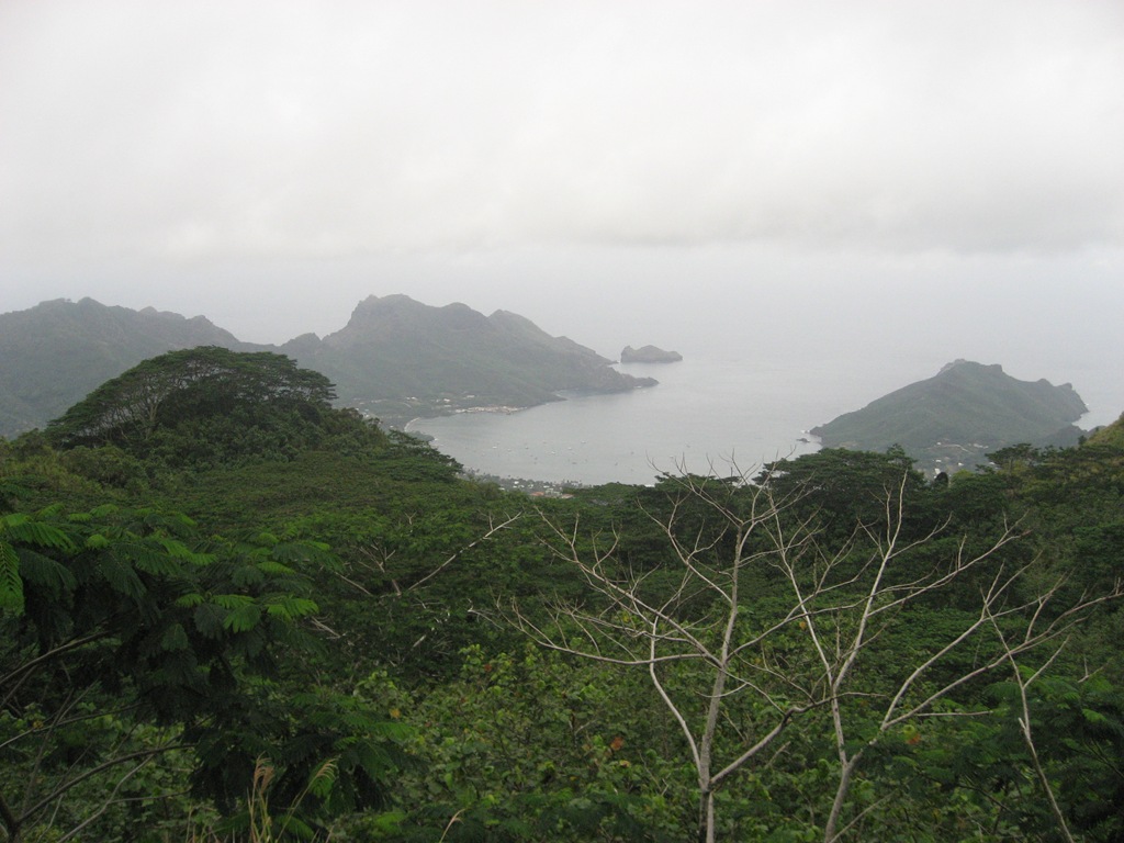 [IMG_08923.jpg]