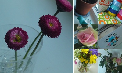 Vis blomster