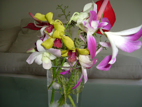 DSCF3701.JPG