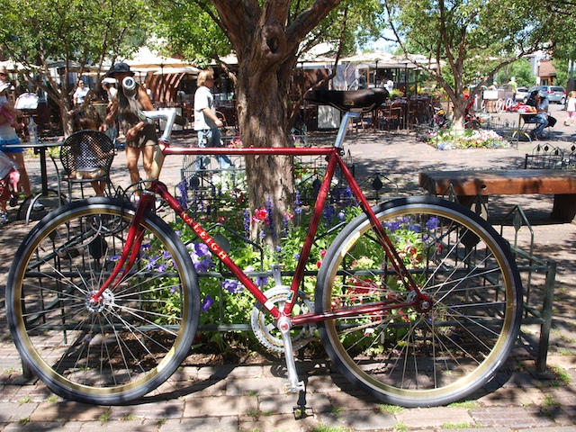 ExPoodition%20Bike%20Sightings.jpg