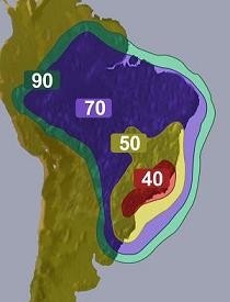 [brasil amazonas 61 W[3].jpg]