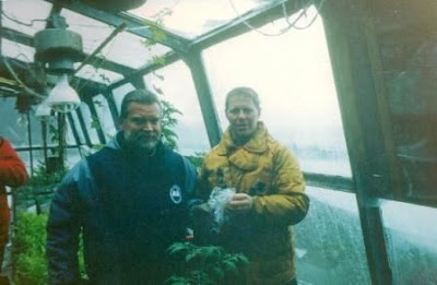 Antarctica greenhouse Irish ivy