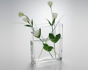 [vase design rectangulaire[6].jpg]