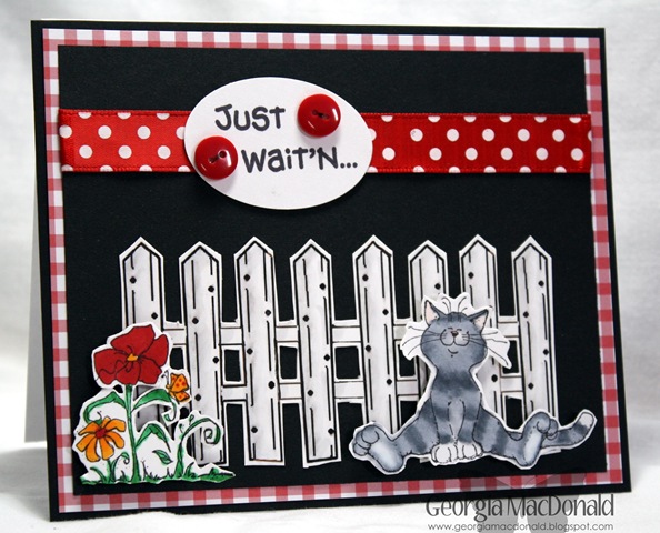 [kittyfence[3].jpg]