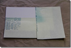 IMG_0818 IMG_0818