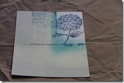 IMG_0823 IMG_0823