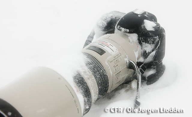 [Canon 7D Snow Blizzard[3].jpg]