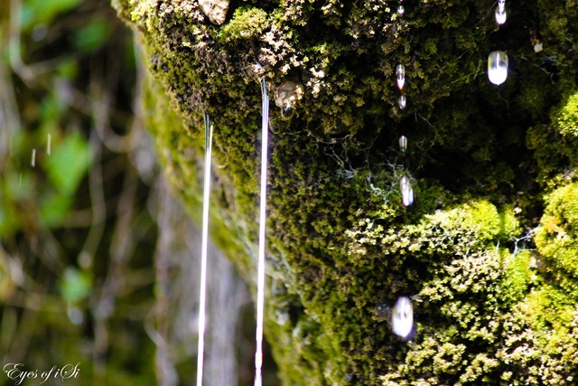 Eyes-of-iSi-Wasser-Tropfen