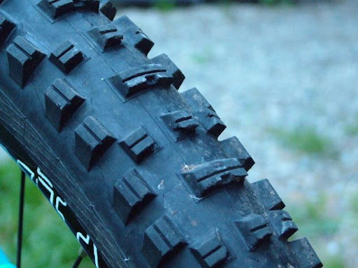Muddy Mary rear