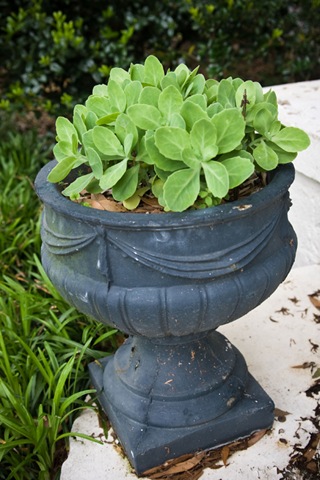 [Urn[6].jpg]
