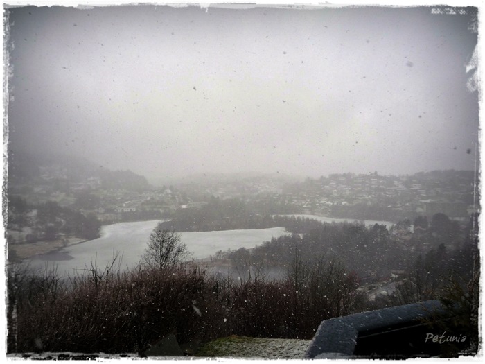 lidelse 1