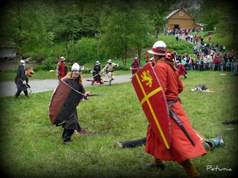 Viking13 Viking13
