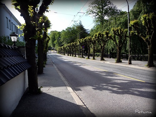 Promenade