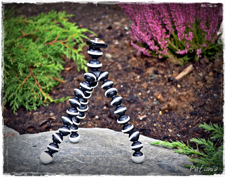Gorilla Pod