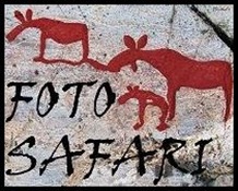 Fotosafari