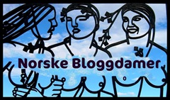 Norske Bloggdamer Norske Bloggdamer