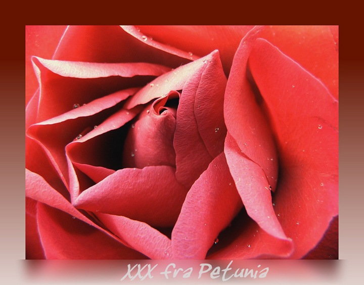 xx