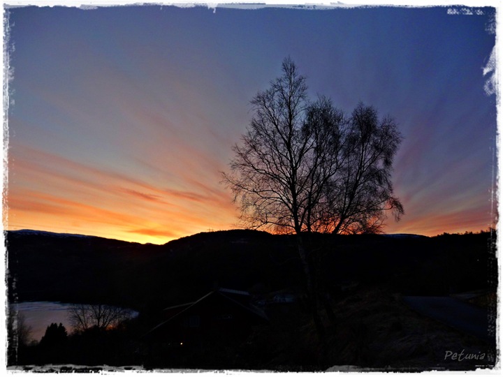 Himmelsk # 29 Himmelsk # 29