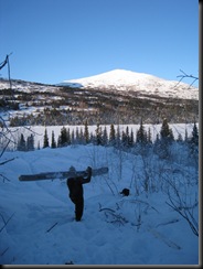 ben with tree