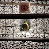 &ndash; Close up of bone pile