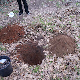DSC03007.JPG