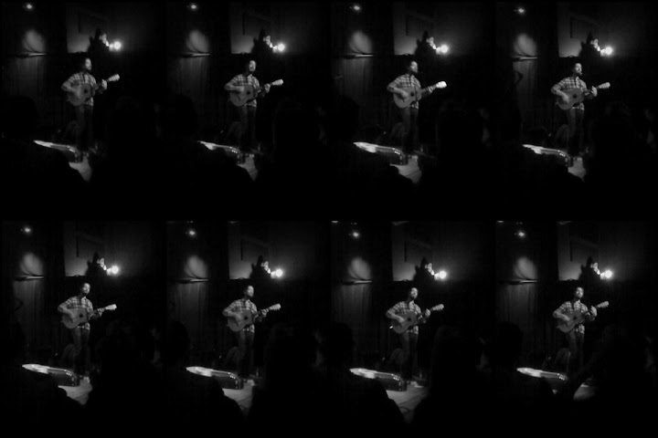 Bowerbirds 