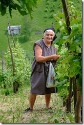 Vovó
